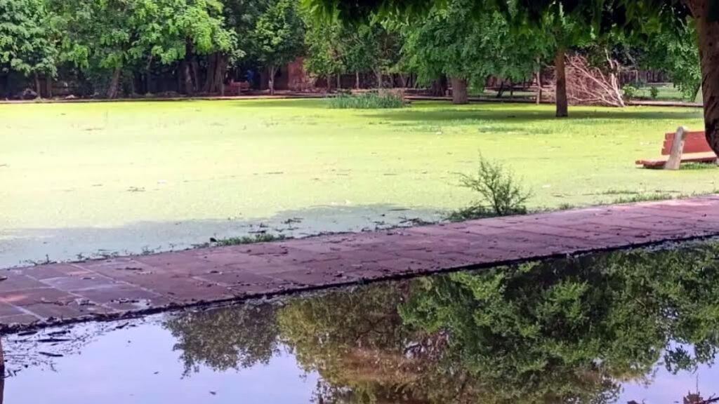 फरीदाबाद में बनेंगे तीन मॉडल पार्क, नगर निगम ने दिए चिह्नित करने के आदेश Three model parks will be built in Faridabad, Municipal Corporation has given orders to mark them