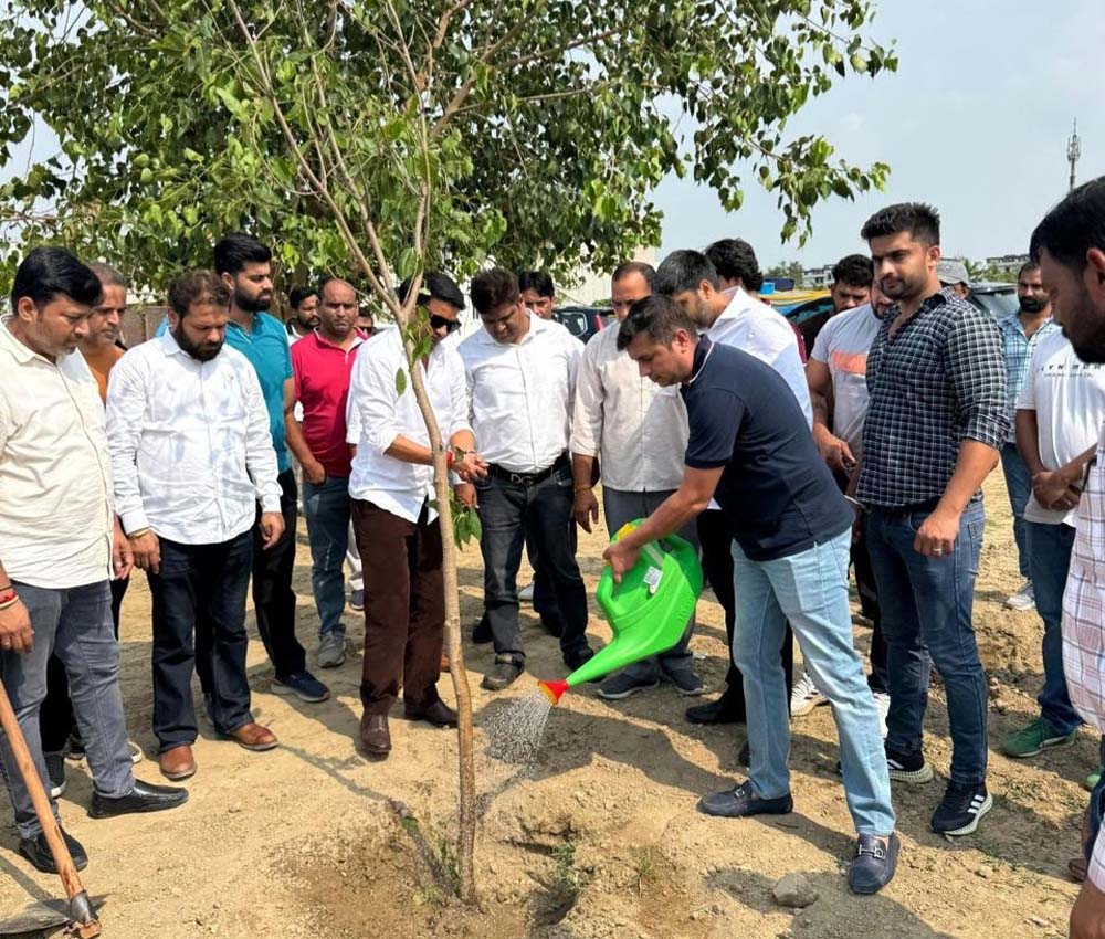 देवेंद्र चौधरी के जन्मदिवस पर भाजपाईयों ने रोपे पौधे BJP members planted trees on Devendra Chaudhary's birthday