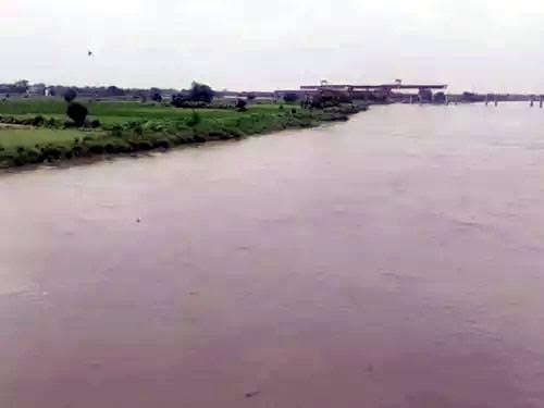 फरीदाबाद में बढ़ा यमुना का जलस्तर, लोगों को किया जा रहा सचेत Yamuna water level rises in Faridabad, people are being alerted