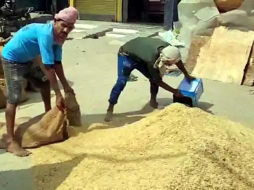 अनाज मंडी में फसल की रिकॉर्ड आवक, किसानों की लगी भीड़ Record arrival of crops in the grain market, farmers gathered in large numbers