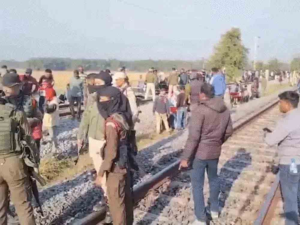 असम में राजधानी एक्सप्रेस से टकराकर 7 हाथियों की मौत Seven elephants were killed after being hit by the Rajdhani Express train in Assam.