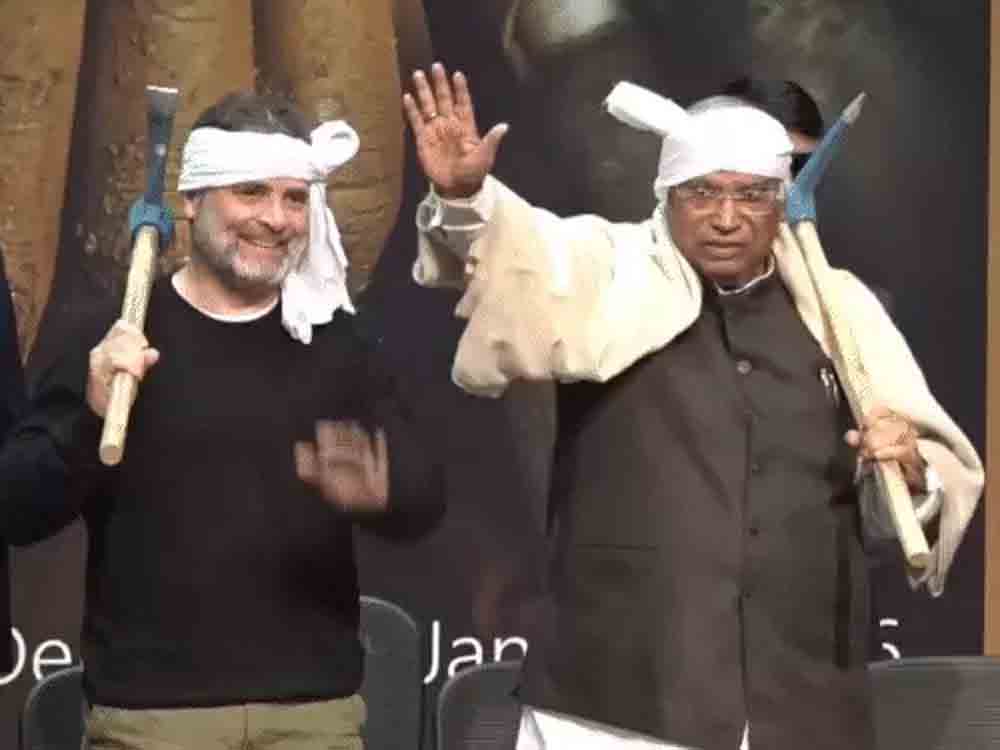 राहुल ने सिर पर गमछा बांधा, कंधे पर कुदाल रखी Rahul tied a cloth around his head and placed a hoe on his shoulder.