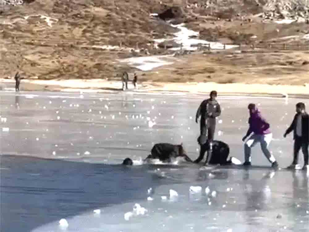 अरुणाचल में जमी हुई झील में फिसलकर दो युवक डूबे:शव मिले, दोनों केरल के थे Two young men drowned after slipping on a frozen lake in Arunachal Pradesh; their bodies have been recovered. Both were from Kerala.