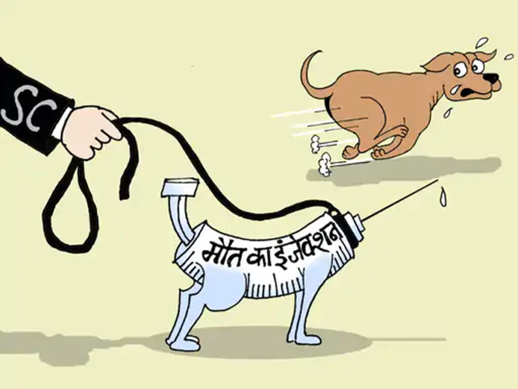 खतरनाक कुत्तों को मौत का इंजेक्शन दें, लोगों की सुरक्षा जरूरी : सुप्रीम कोर्ट खतरनाक कुत्तों को मौत का इंजेक्शन दें, लोगों की सुरक्षा जरूरी : सुप्रीम कोर्ट