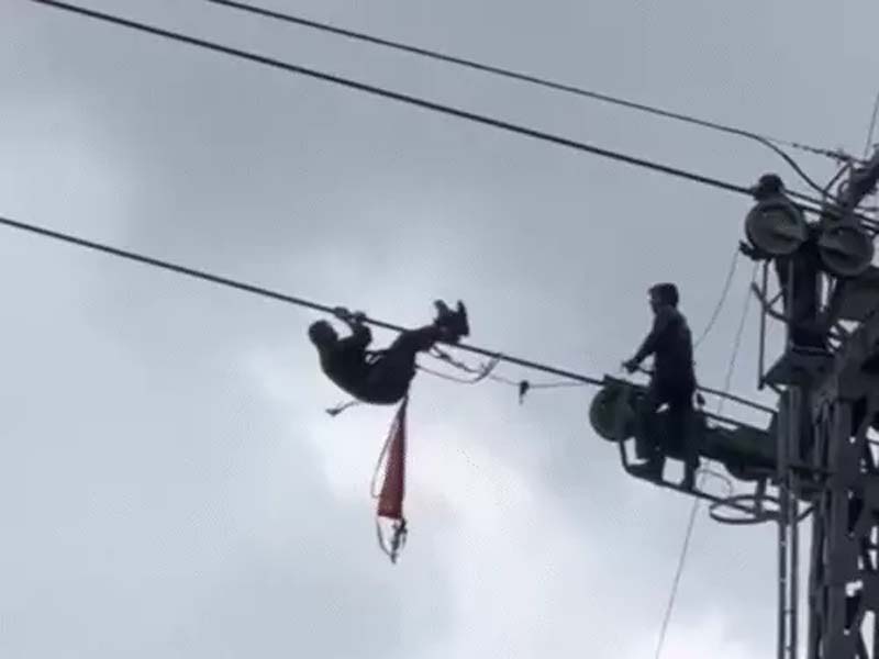 कश्मीर- गुलमर्ग रोपवे अचानक रुका, हवा में 300 पर्यटक फंसे Kashmir: Gulmarg Ropeway Stops Abruptly; 300 Tourists Stranded in Mid-Air