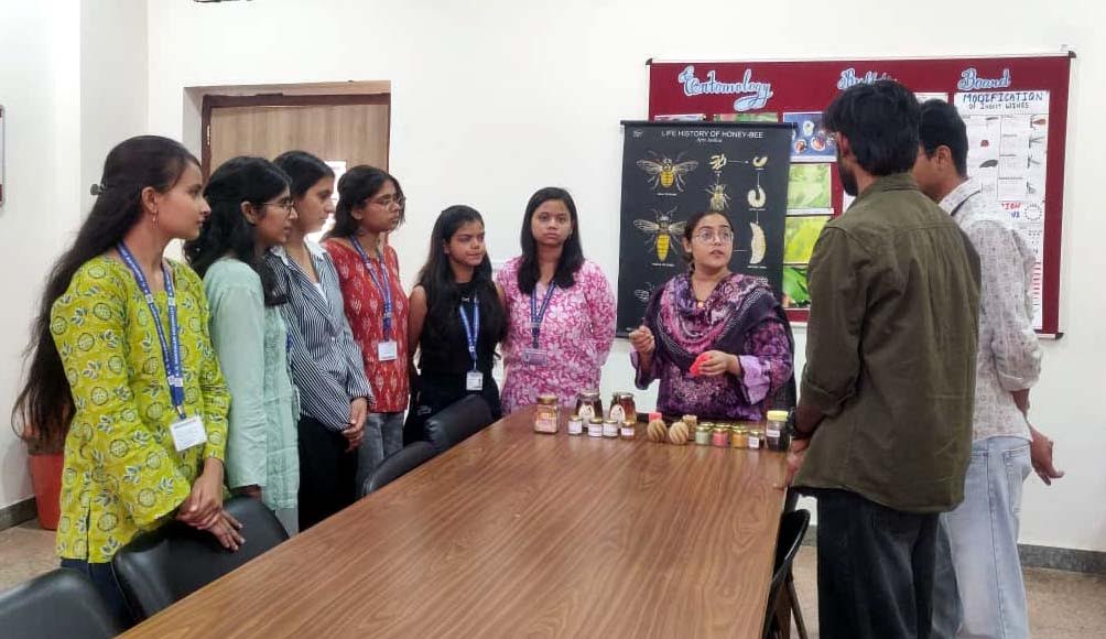 विश्व मधुमक्खी दिवस पर जागरूकता कार्यक्रम आयोजित Awareness program organized on World Bee Day