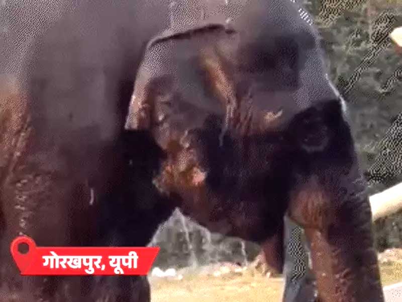 MP-राजस्थान समेत 9 राज्यों में आज 45°C पार जाएगा पारा Temperatures will cross 45°C today in nine states, including MP and Rajasthan.