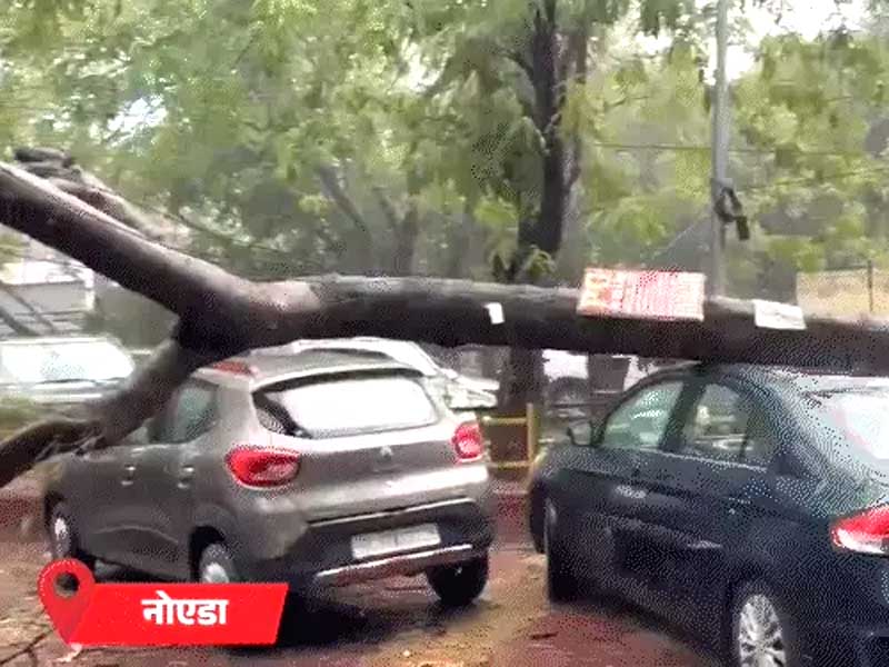 मानसून केरलम पहुंचा, इस बार 3 दिन लेट:7 दिन भारी बारिश का अनुमान Monsoon arrives in Kerala, this time 3 days late; heavy rain predicted for 7 days