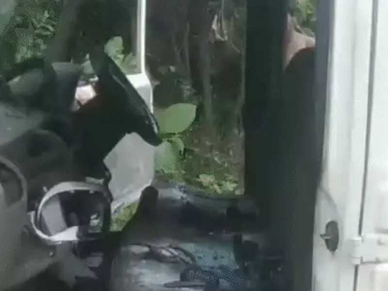 नगालैंड में IED धमाका, असम राइफल्स का जवान शहीद IED blast in Nagaland; Assam Rifles soldier martyred.