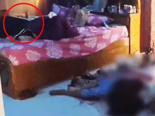 कर्नाटक में डॉक्टर की घर में हत्या, बेटा घायल मिला Doctor murdered at home in Karnataka; son found injured.