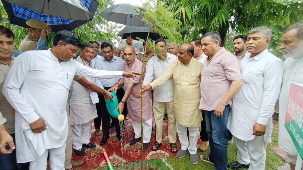 District-level event organized under the second phase of the 77th Van Mahotsav.