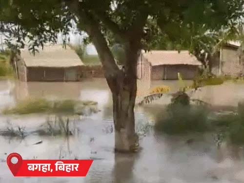 MP-यूपी की 7 नदियां खतरे के निशान से ऊपर:हिमाचल में अब तक 219 मौतें 7 rivers in MP and UP flowing above danger mark; 219 deaths in Himachal so far.