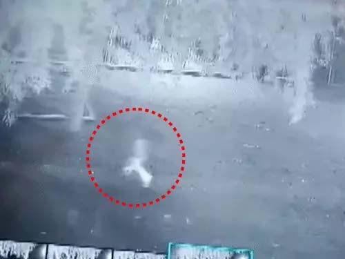 गुजरात-जूनागढ़ में तेंदुए ने 6 साल की बच्ची को उठाया:खेत में मिला शव Leopard snatches 6-year-old girl in Junagadh, Gujarat; body found in field.
