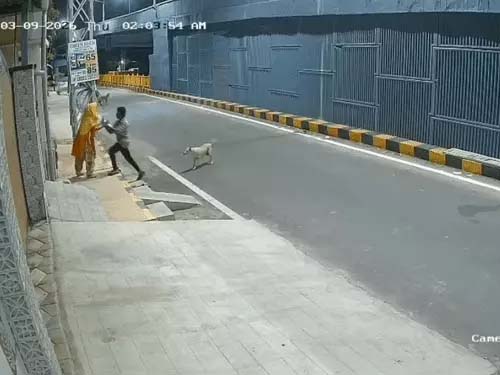 तमिलनाडु में डॉग ने महिला को यौन उत्पीड़न से बचाया…, मेंटली डिस्टर्ब थी In Tamil Nadu, a dog saved a woman—who was mentally disturbed—from sexual assault.