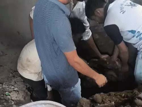 सूरत में 3 हत्याएं, पति-पत्नी ने 4 साल छिपाया राज:सास, नानी और बहन की जान ली Three murders in Surat; couple kept the secret for 4 years—killed mother-in-law, maternal grandmother, and sister.