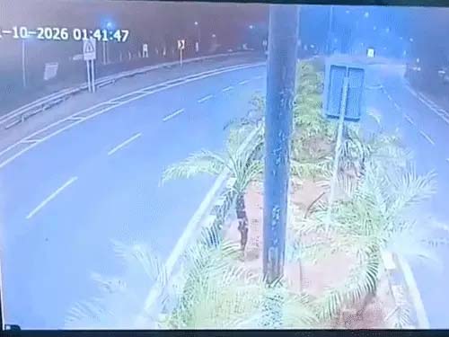 केरलम मिनी कूपर हादसे के बाद बोला ड्राइवर-पापा संभाल लेंगे After the Mini Cooper accident in Kerala, the driver said, "Dad will handle it."