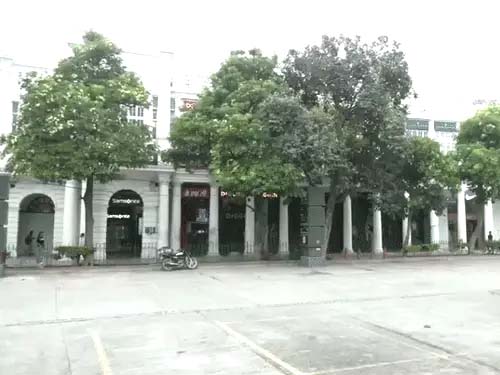 सुप्रीम कोर्ट का CJP का प्रदर्शन रोकने से इनकार:कहा- किसी के लिए प्रदर्शन जरूरी Supreme Court refuses to stop CJP-related protests: Says protests are essential for some